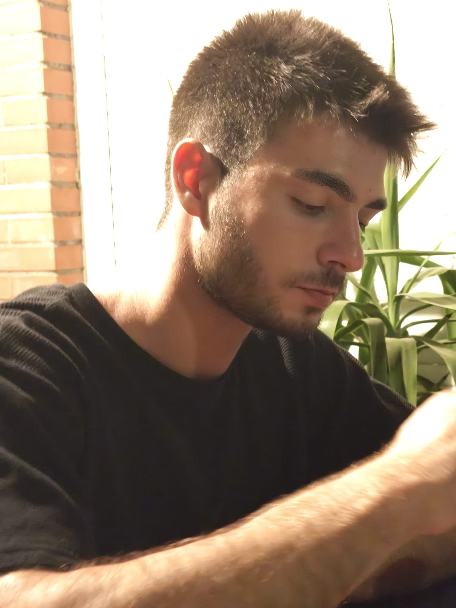 Dachy leyendo algo, con la luz de la ventana detrás.